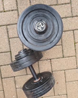 Coppia di manubri 24 kg