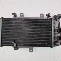 RADIATORE ACQUA BMW F 800 R 2009 2010 F800R 2011 2