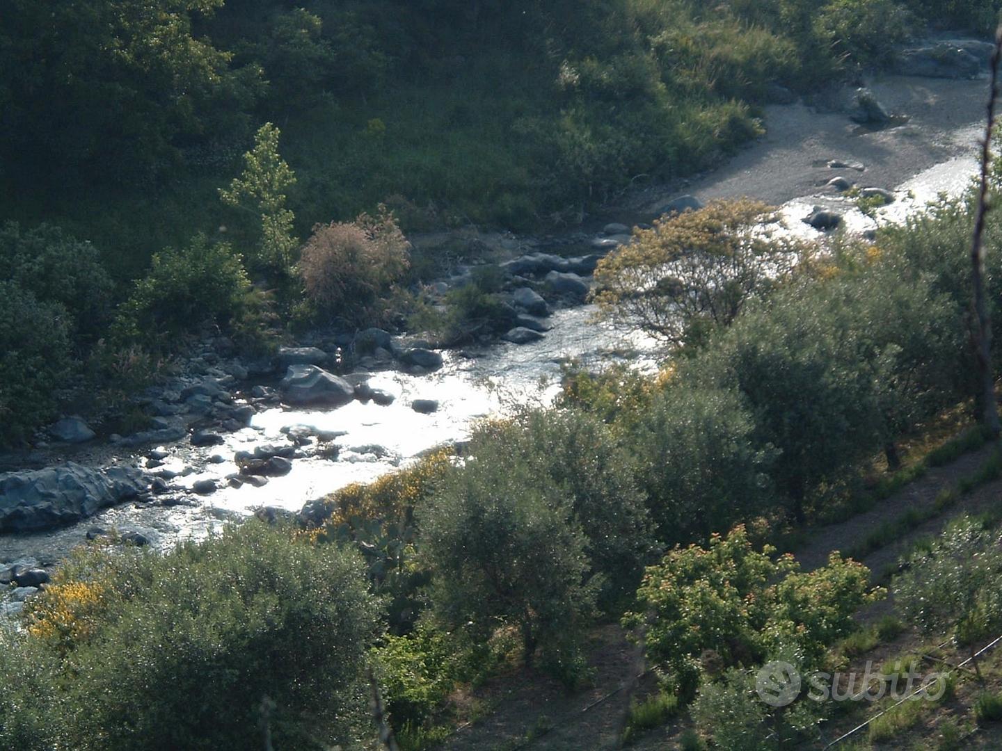 GOLE ALCANTARA terreno agricolo 1 ettaro - Vista 2