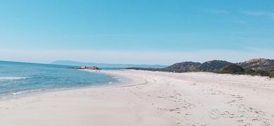 Bilocale in sardegna