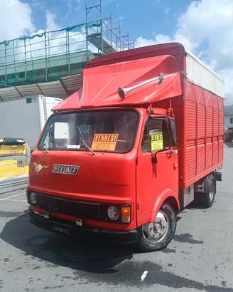 Om 45 trasporto cavalli Pat b Mezzo storico 