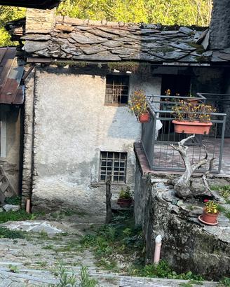 Rustico