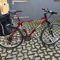 bici Vintage MTB Trek Singletrack 950