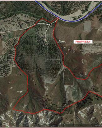 Terreno agricolo di circa 18 ettari con oliveto