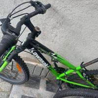 Bicicletta kawasaki da 24