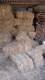 fieno brado di quest'anno 