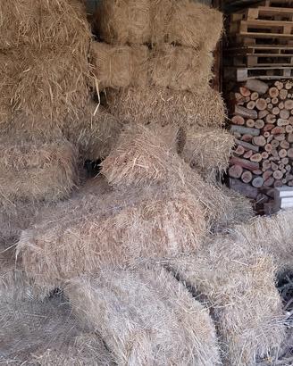 fieno brado di quest'anno 