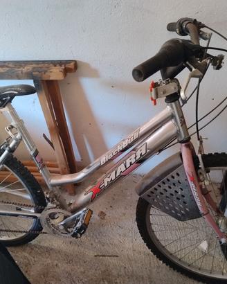 Bicicletta ragazza