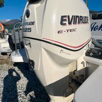 Evinrude E-Tec 225 come nuovo
