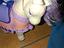 Immagine 2