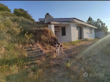 Casa colonica con vignetto a Mamoiada