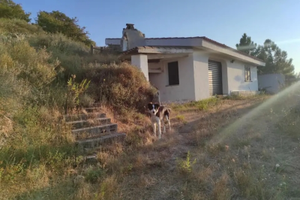 Casa colonica con vignetto a Mamoiada