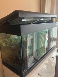 Acquario 100 litri