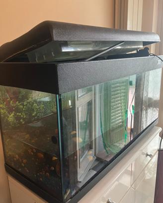 Acquario 100 litri