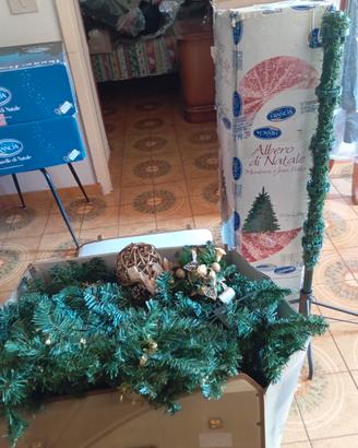 albero di natale 