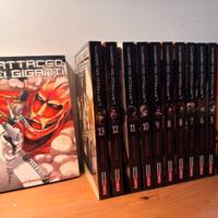 Lotto manga perfette condizioni