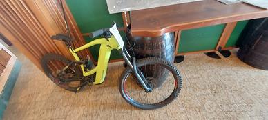 Bici Gepida
