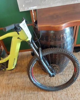 Bici Gepida