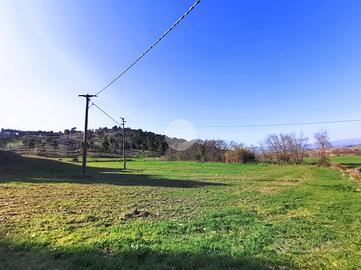 TER. AGRICOLO A LUCERA