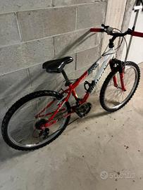 MTB Bottecchia 488 24 twentyfour 24”