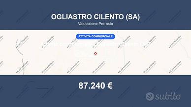 Immobile in asta di 410 m² a Ogliastro Cilento