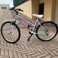 Mountain bike BUNF misura 26