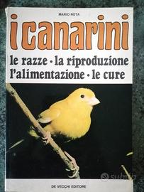  i canarini 