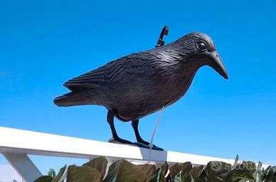Deterrente per piccioni a forma di corvo. Nuovo