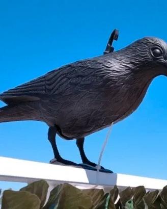 Deterrente per piccioni a forma di corvo. Nuovo
