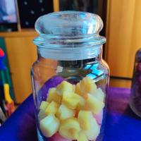 2 giare grandi yankee candle vuote