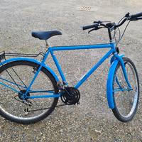 bicicletta uomo misura 26