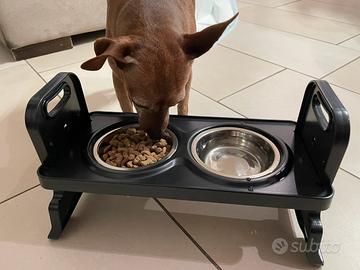 Ciotola dopoia pee cani e gatti di piccola taglia