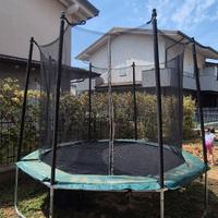 Trampolino Octogonal 300