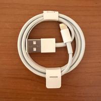 Apple Cavo da Lightning a USB