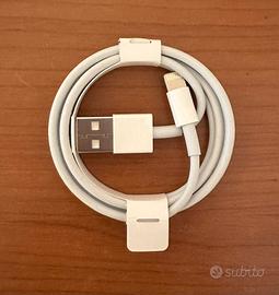 Apple Cavo da Lightning a USB