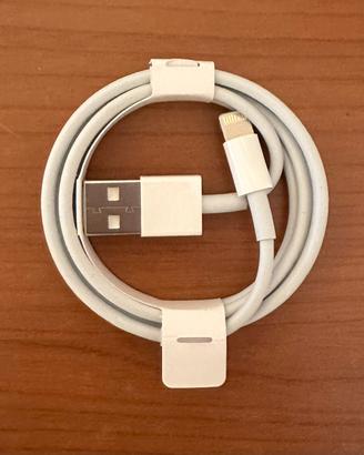 Apple Cavo da Lightning a USB