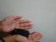 Immagine 4