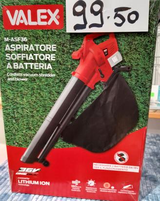 Aspiratore e soffiatore Valex