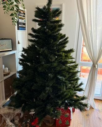 Albero natale