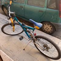 Bici Mountain bike