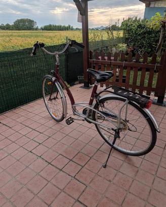 Bicicletta donna