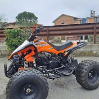 QUAD Skyner TV125 Profive S – 125cc(2021)
