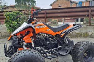 QUAD Skyner TV125 Profive S – 125cc(2021)