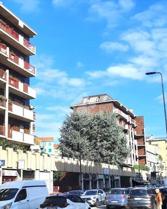 NEGOZIO A MILANO