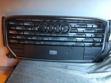 Calandra Audi Q2