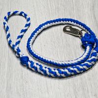Guinzaglio per cani