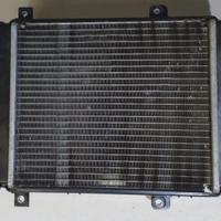 kymco xciting 500 radiatore