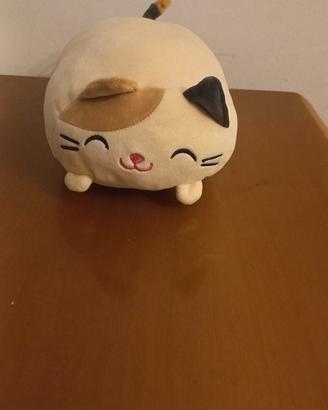 peluche gattino