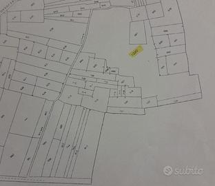 Terreno agricolo con capacità edificatoria