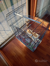 Gabbia x cocorite lo